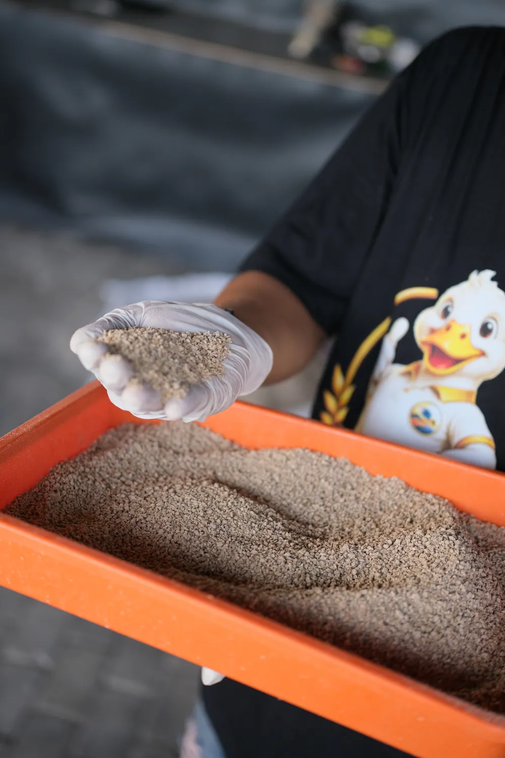 Pakan bebek berkualitas ditakar dengan tangan bersarung di Avora Farm